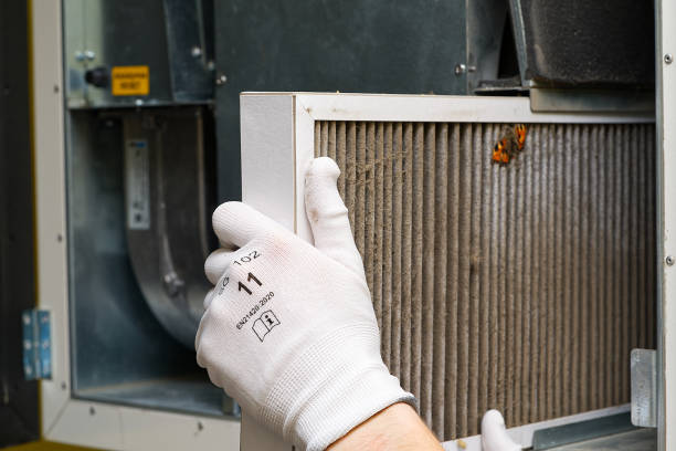 Best Affordable Duct Cleaning Services  in Mbrian Park, CA
